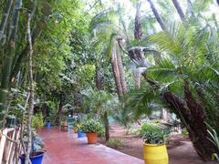 a pathway in Majorelle Garden, Marrakech, Morocco