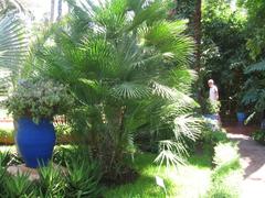 Jardin de Majorelle garden view with vibrant blue building and lush greenery