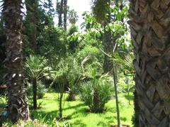 Jardin de Majorelle garden view in Marrakech with vibrant blue building and lush greenery