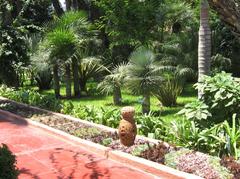 Majorelle Garden pathway in Marrakech