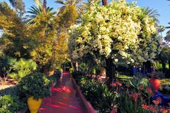 Jardin des Majorelle in Marrakech, Morocco