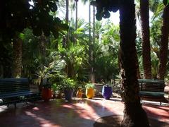 Jardin Majorelle in Marrakesh on a sunny day