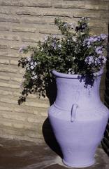 Large earthenware jug with flowers in Majorelle Garden, Marrakech