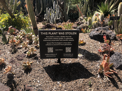 Huntington Library Desert Garden Plant Theft Sign