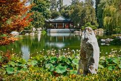 Chinese Garden at Huntington Library