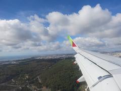 aerial view of Madeira's coastline from an airplane