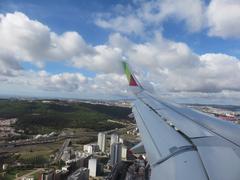 aerial view of Madeira Island from an airplane window