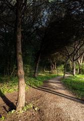 Hiking trail in Parque Florestal de Monsanto, Lisbon