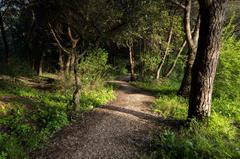 Hiking trail in Parque Florestal de Monsanto, Lisbon, Portugal