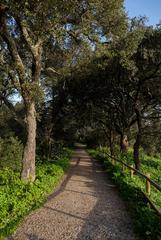 Hiking trail in Parque Florestal de Monsanto, Lisbon, Portugal