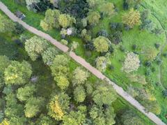 aerial view of path and trees in Monsanto Florets Park in Lisbon, Portugal