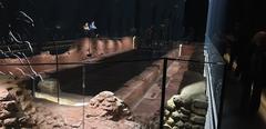 London Mithraeum interior with ancient Roman artifacts