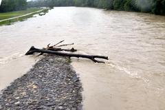 Tree trunk lodged at Wittelsbacherbrücke pillar in Munich during June 2024 flood