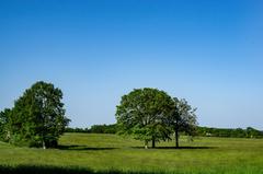 Scenic view of Vorbergs Hügel in Altenberger Rücken