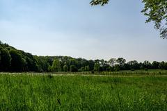 Scenic view of Vorbergs Hügel in Altenberger Rücken