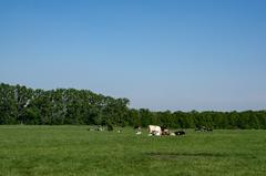 Panoramic view of Vorbergs Hügel, a nature reserve in Altenberger Rücken