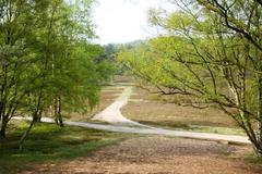 Paths in Fischbeker Heide Nature Reserve, Hamburg