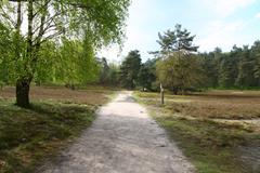 pathway in Fischbeker Heide nature reserve in Hamburg