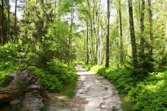 Trail in Fischbeker Heide nature reserve in Hamburg