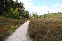 path in Fischbeker Heide nature reserve in Hamburg