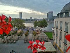 Fischmarkt and Rhine Garden panoramic view