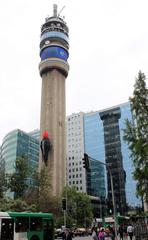 Pájaro carpintero en Torre Entel durante el festival Hecho en Casa 2018