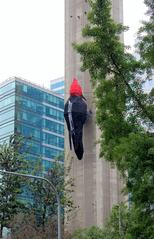 woodpecker artwork on Torre Entel during Hecho en Casa festival 2018 in Santiago de Chile