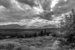 Columbia Wetlands in Radium Hot Springs