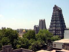 Minakshi Temple, Madurai, rooftop view with gopuras and golden dome