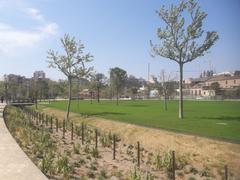 El parc de la plaça de les Glòries nou amb gespa recentment plantada