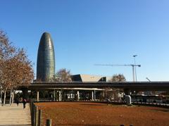 Building process of Disseny Hub Barcelona in January 2012