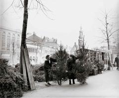 Christmas tree sale at Singel, Amsterdam on December 8, 1958