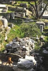 Cats at the Roman Agora in Athens, Greece