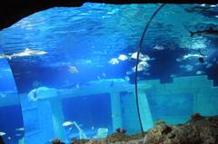 aquatic life display in Sea Life Porto aquarium