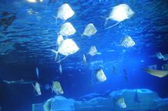 sea life exhibit in Porto, Portugal