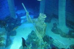 Visitors observing aquatic tanks with various fish at Sea Life in Porto, Portugal