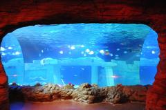 Sea Life in Porto aquarium