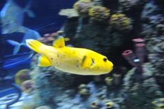 Sea Life Aquarium in Porto, Portugal