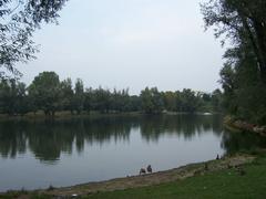 Weiher im Rebstockpark