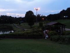 Japanese garden at evening in Pune