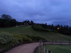 Japanese garden evening view