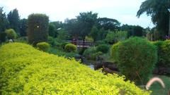 Japanese garden in Pune with lush greenery and serene pathways