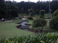 Japanese garden in Pune