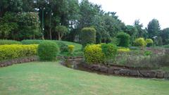 Japanese garden with green small trees in Pune