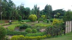 Japanese garden greenery