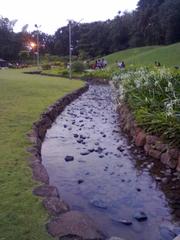 Japanese garden in Pune with a lake view