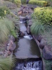 Japanese garden with a natural waterfall