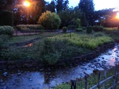 Japanese garden at night