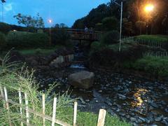 Japanese garden night view of lake