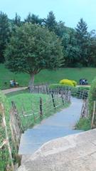 serene Japanese garden path in Pune